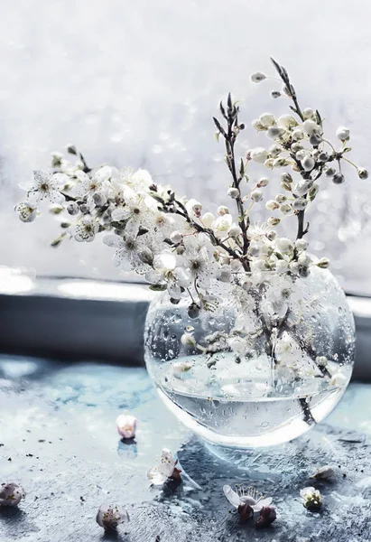 Des Branches Fleuries Avec Délicates Fleurs Blanches Cerise Abricot Dans — Photo