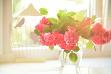 Zarif pembe çay gülleri ve yağmurdan sonra parlak bir pencerede kuşların olduğu dekoratif bir kafes. Hoş, hoş, eski, sakin bir hayat..