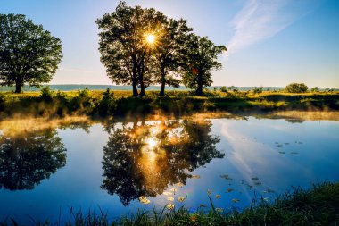 Yazın, ilkbaharda nehirde sabahın erken saatlerinde. Sahildeki ağaçların arasından parlayan güneş ışınları. Çiydeki çimenler ve suyun üzerindeki sis.