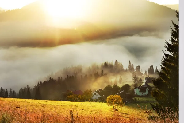 Dimineţi Frumoase Munţi Mic Sat Pajiște Printre Munți Ceață Printre — Fotografie, imagine de stoc