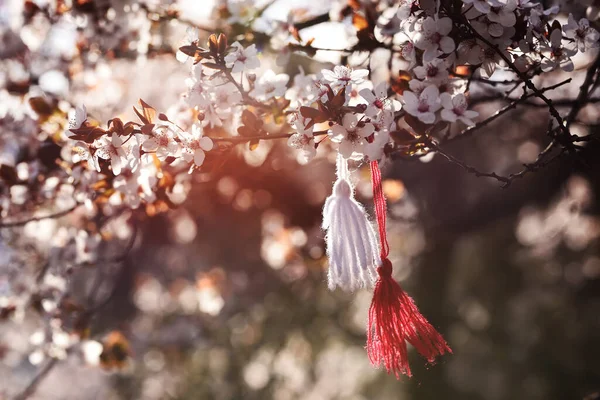 保加利亚庆祝春天的传统 罗马尼亚 摩尔达维亚庆祝春天到来的传统 在春天的花园里 红色和白色线组成的马泰尼莎象征着春天的到来 它落在一棵盛开的樱桃树的枝头上 — 图库照片