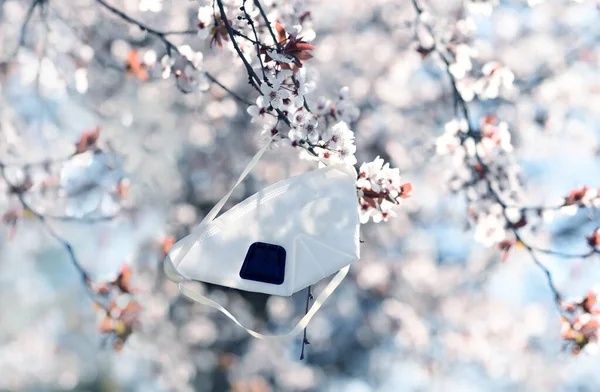 春の庭に咲く桜梅の枝に医療面マスク — ストック写真