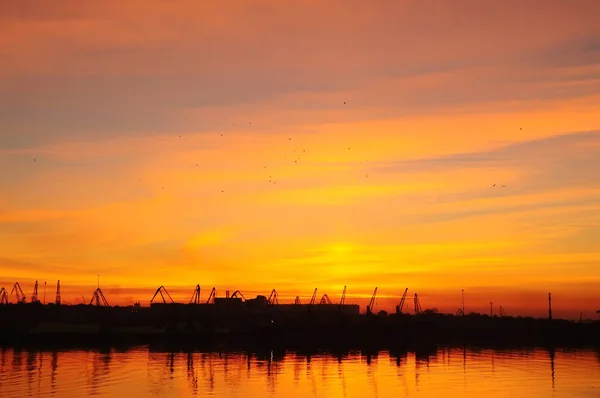 Pôr Sol Escuro Foto Silhuetas Guindastes Carga Porto — Fotografia de Stock