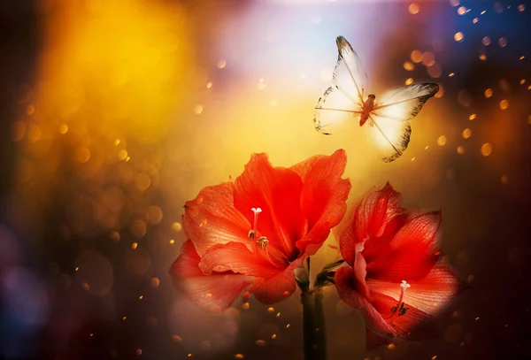 Báječná Kouzelná Fotografie Exotického Tropického Květu Červené Amaryllis Třepetajících Motýlů — Stock fotografie