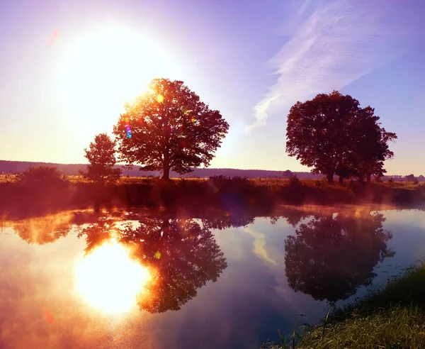 Poranek Nad Rzeką Potężne Dęby Nad Rzeką Słońce Wschodzące Horyzontu — Zdjęcie stockowe