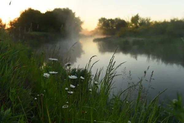 Yaz Mevsiminde Nehir Kenarında Şafak Vakti Güneş Doğmadan Önce Suyun — Stok fotoğraf