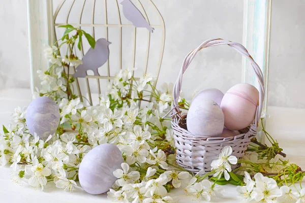 Przetarg Wielkanoc Zdjęcie Gałęziami Kwitnącej Wiśni Kolorowe Jaja Białym Drewnianym — Zdjęcie stockowe