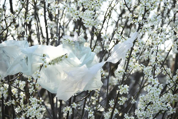 Morceaux Polyéthylène Sur Les Branches Des Arbres Fleurs Problème Pollution — Photo