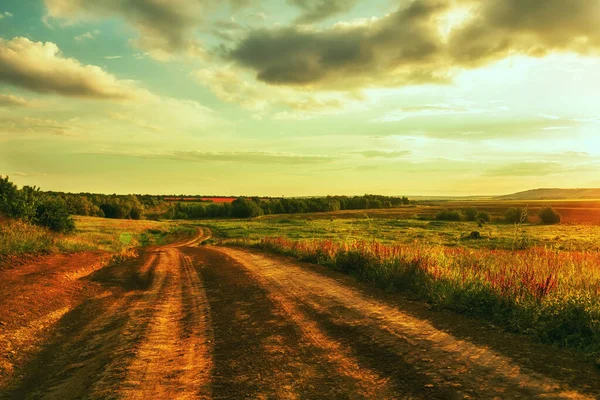 Dirt Road Flowering Spring Fields Rural Pastoral Countryside Landscape Stock Image