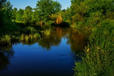 Bir yaz, bahar günü, aşırı büyümüş yeşil bankaları olan bir nehir..