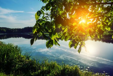 Sessiz bir orman gölünde akşam.