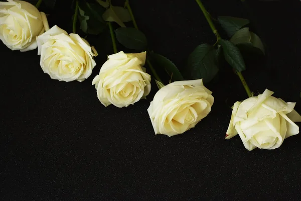 Белые Розы Черном Фоне Блестками — стоковое фото