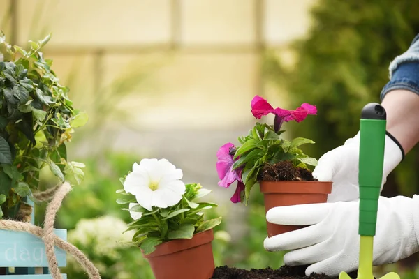 Руки Перчатках Лопатой Копать Землю Посадки Милые Цветы Весенний Сад — стоковое фото