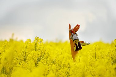 Çiçekli sarı bir tarlada yüksek topuklu dans eden bir kızın eli..
