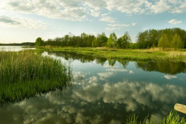İlkbaharda sudaki bulutların yansımasıyla ormandaki bir göl..