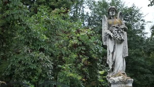 Красивая статуя ангела на старом кладбище — стоковое видео