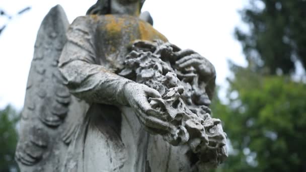 Närbild staty av ängel hålla krans på kyrkogården — Stockvideo
