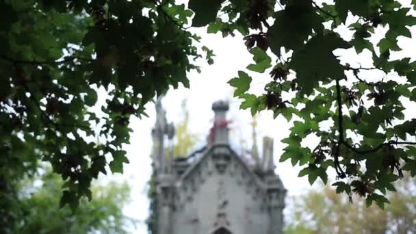 오래 된 묘지에 고딕 양식의 가톨릭 가족 토 굴 — 비디오