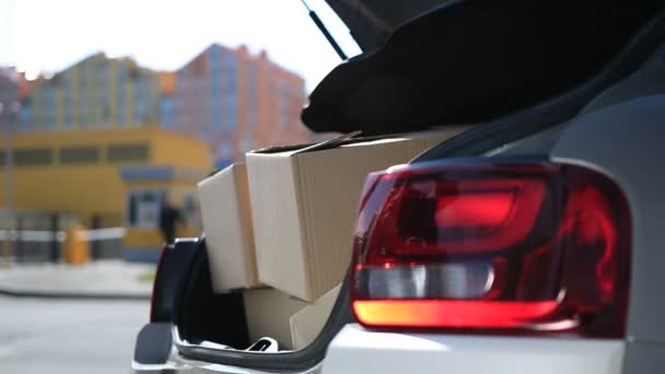 Mãos humanas descarregando caixas de papelão de carro — Vídeo de Stock