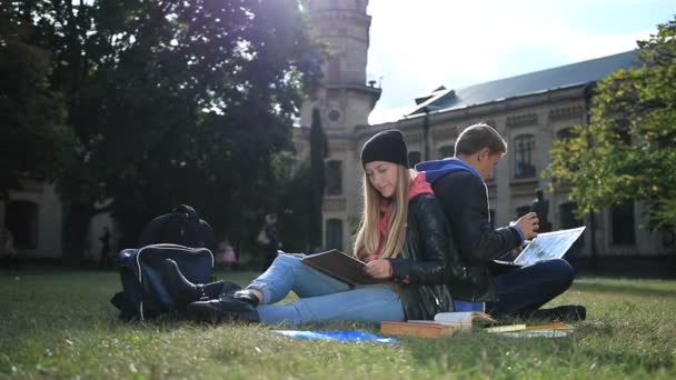 Jovem estudante casal estudando no gramado do parque — Vídeo de Stock
