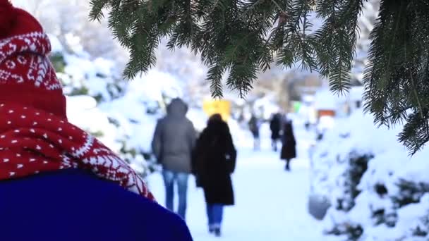 Πίσω όψη της γυναίκας μια βόλτα στο πάρκο του χειμώνα — Αρχείο Βίντεο