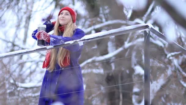 Mujer joven disfrutando del paisaje de invierno — Vídeos de Stock