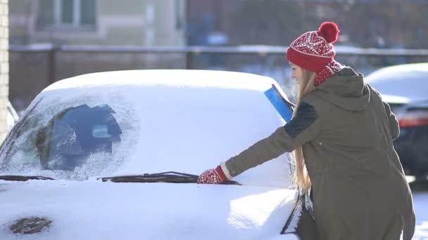 Clearing automobiles windscreen from snow — Stock Video