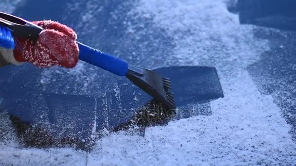 Raspar hielo de la ventana del parabrisas delantero de los coches — Vídeos de Stock