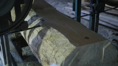 Panolardan günlükleri şerit testere ile kesme