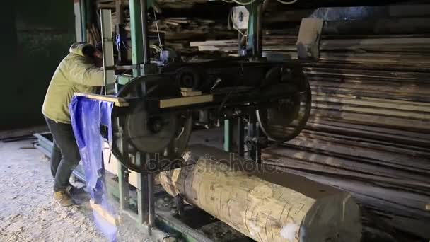 Sawmill. The process of cutting logs into boards — Stock Video