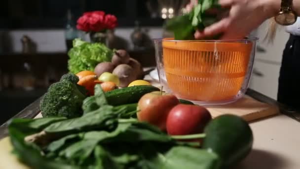 Mains féminines mettant des feuilles d'épinards dans la fileuse — Video