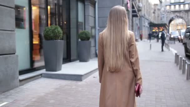 Вид сзади на деловую женщину, идущую по городской улице — стоковое видео