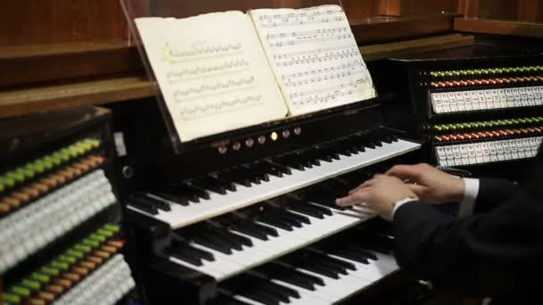 Närbild bild av organist som spelar orgel. — Stockvideo