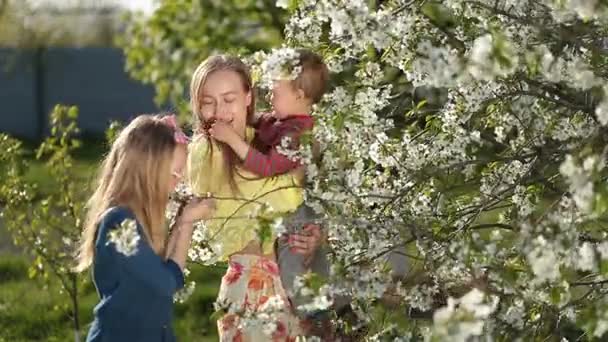 Mutter mit Kindern riecht blühenden Kirschbaum — Stockvideo