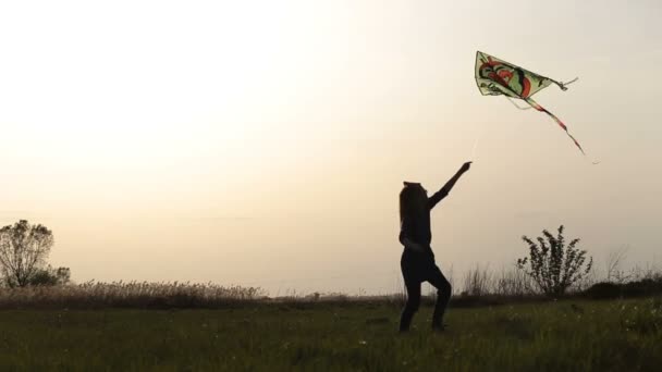 Roztomilá holčička létání draka v louce při západu slunce — Stock video