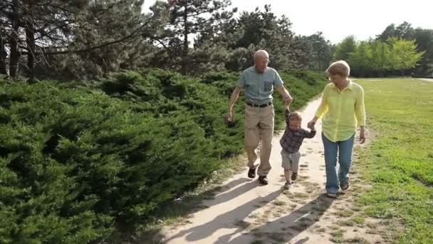 Бабушка и дедушка поднимают мальчика на свежем воздухе — стоковое видео