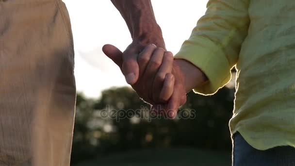 Romantische senior paar hand in hand bij zonsondergang — Stockvideo