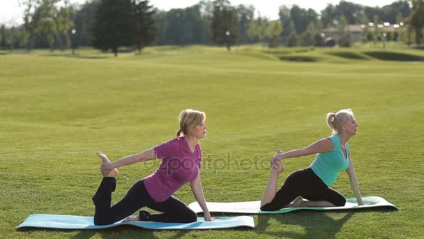 Sportieve vrouwen uitvoeren van yoga oefeningen buiten — Stockvideo