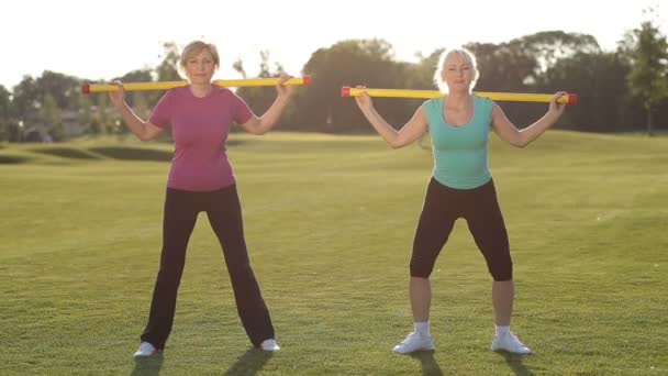 Atractivas mujeres de fitness para adultos haciendo ejercicio en el parque — Vídeo de stock