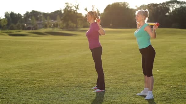 Slim vuxna kvinnor gör knäböj med bodybar i park — Stockvideo
