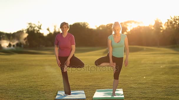 Encantadoras mujeres adultas de pie en posición de árbol de yoga — Vídeos de Stock