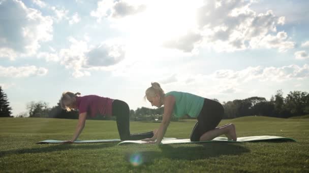 Elegante sportieve dames beoefenen van yoga poseren in park — Stockvideo