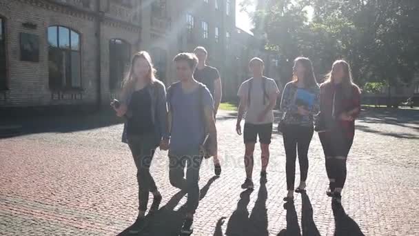 Счастливая группа студентов, идущих в колледж — стоковое видео