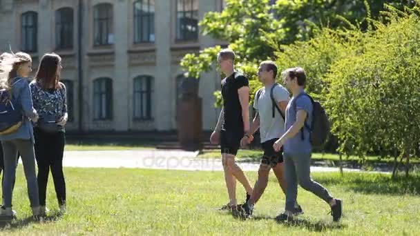 Grupo diverso de estudantes que se reúnem no gramado do parque — Vídeo de Stock