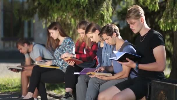 Grupo de estudantes universitários estudando juntos — Vídeo de Stock