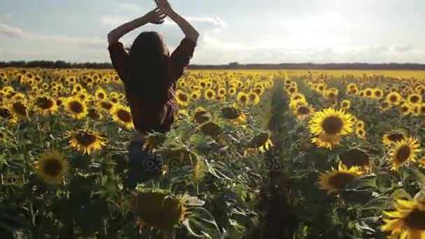 Charmante vrouw genieten van ontspanning in zonnebloem veld — Stockvideo