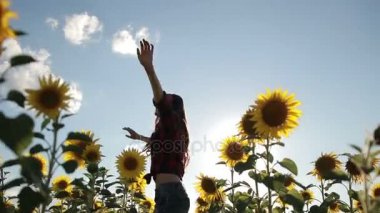 Ayçiçeği tarlası yürüyen neşeli kadın