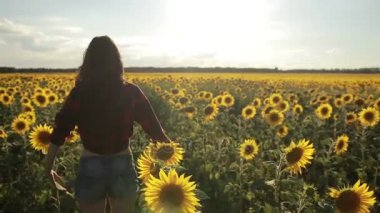 Kız ayçiçeği alanında kaldırdı silah ile ayakta