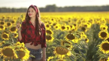 Çekici kız alanındaki ayçiçeği çiçeği kokulu