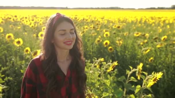 Lycklig kvinna promenader i färska solros fält — Stockvideo